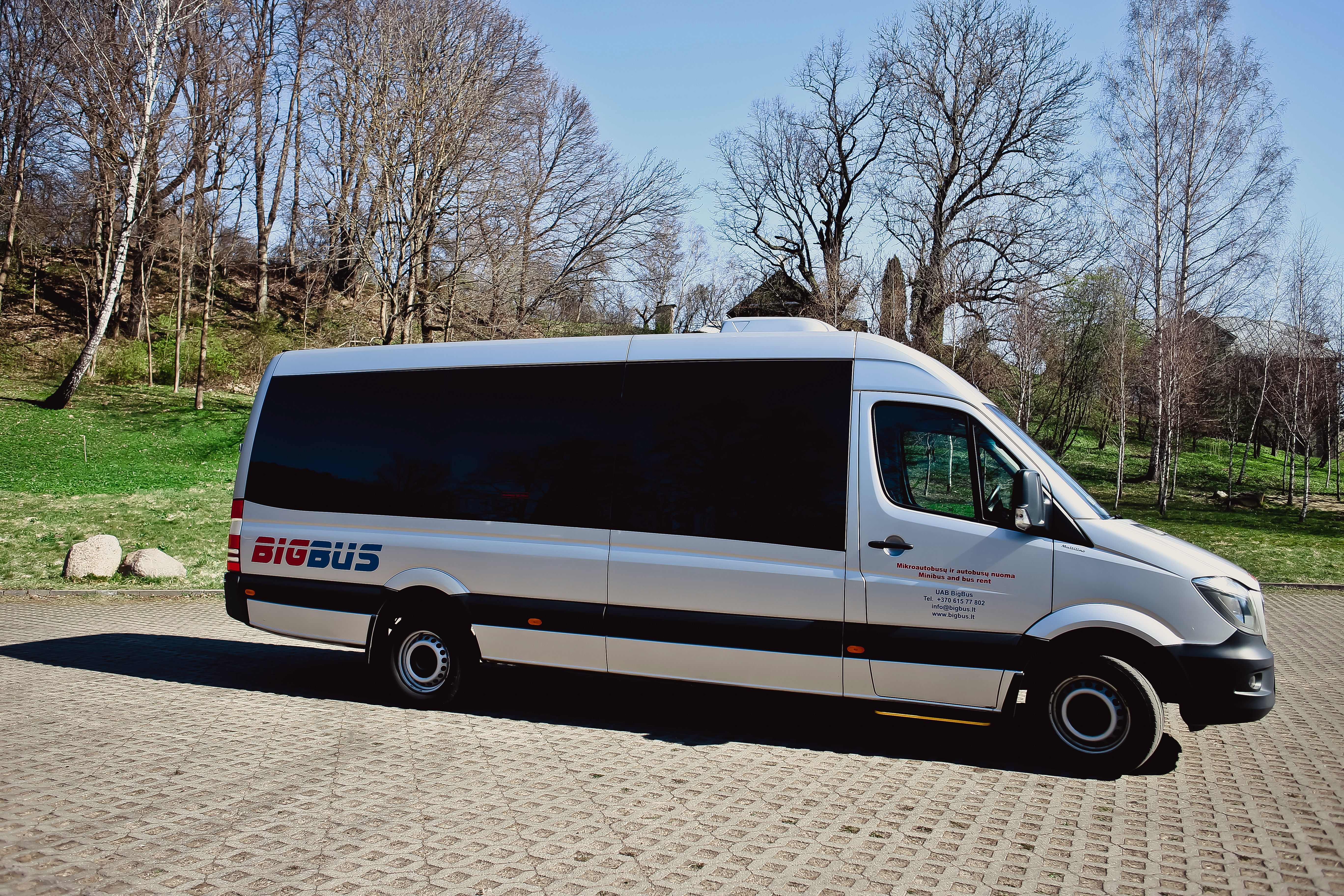 Mercedes-Benz Sprinter 319